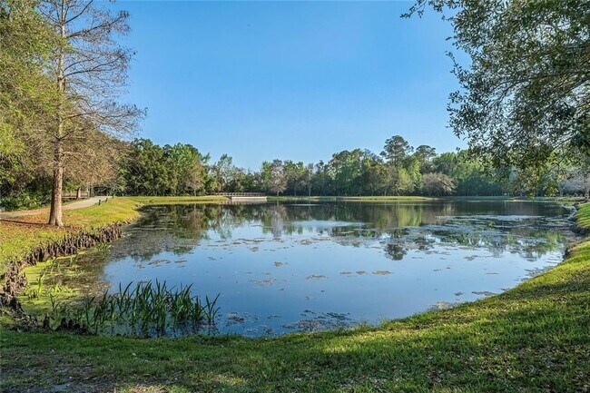 Building Photo - 815 Lake Evalyn Dr