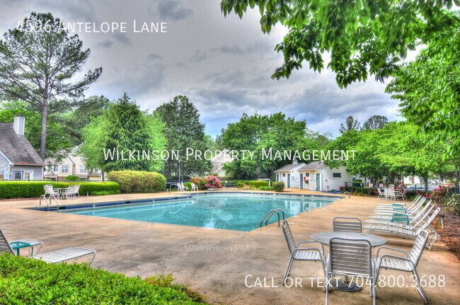 Building Photo - 4596 Antelope Ln