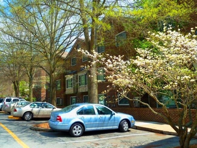 Building Photo - Renovated 3br in Chancellor Square, 2 blocks to Franklin St., walk to campus!