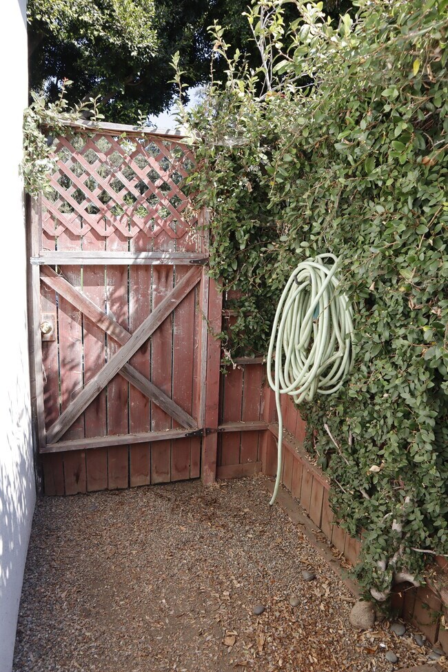 Patio/Yard - 1124 Chelsea Ave