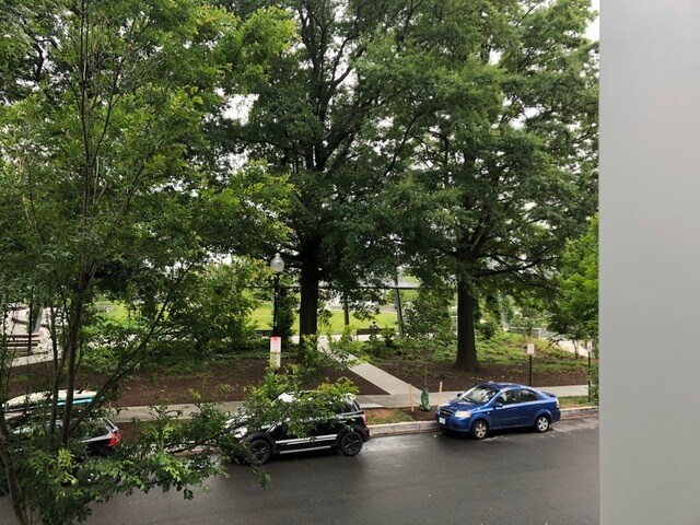 View overlooking Waterfront Park - 525 Water St SW