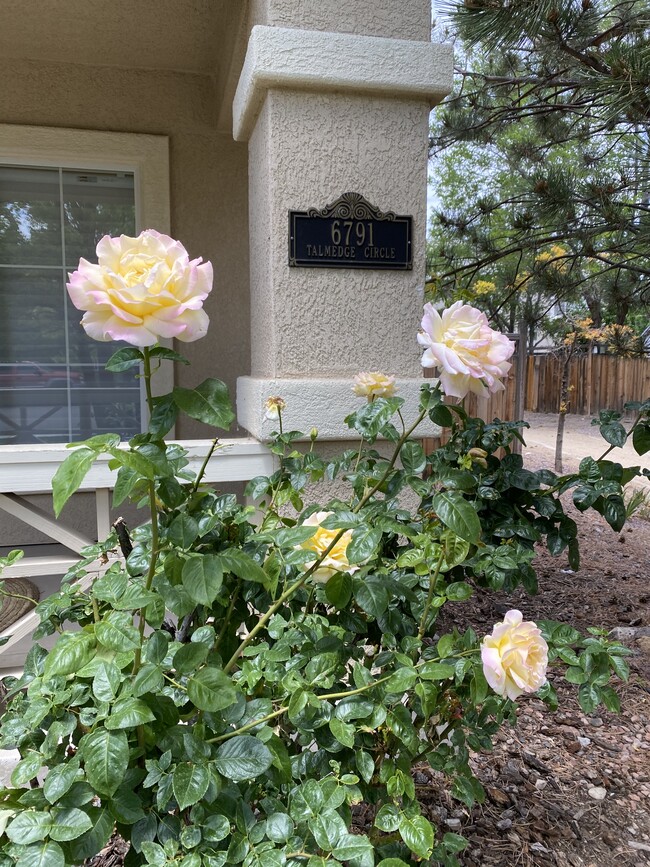 Building Photo - 6791 Talmedge Cir