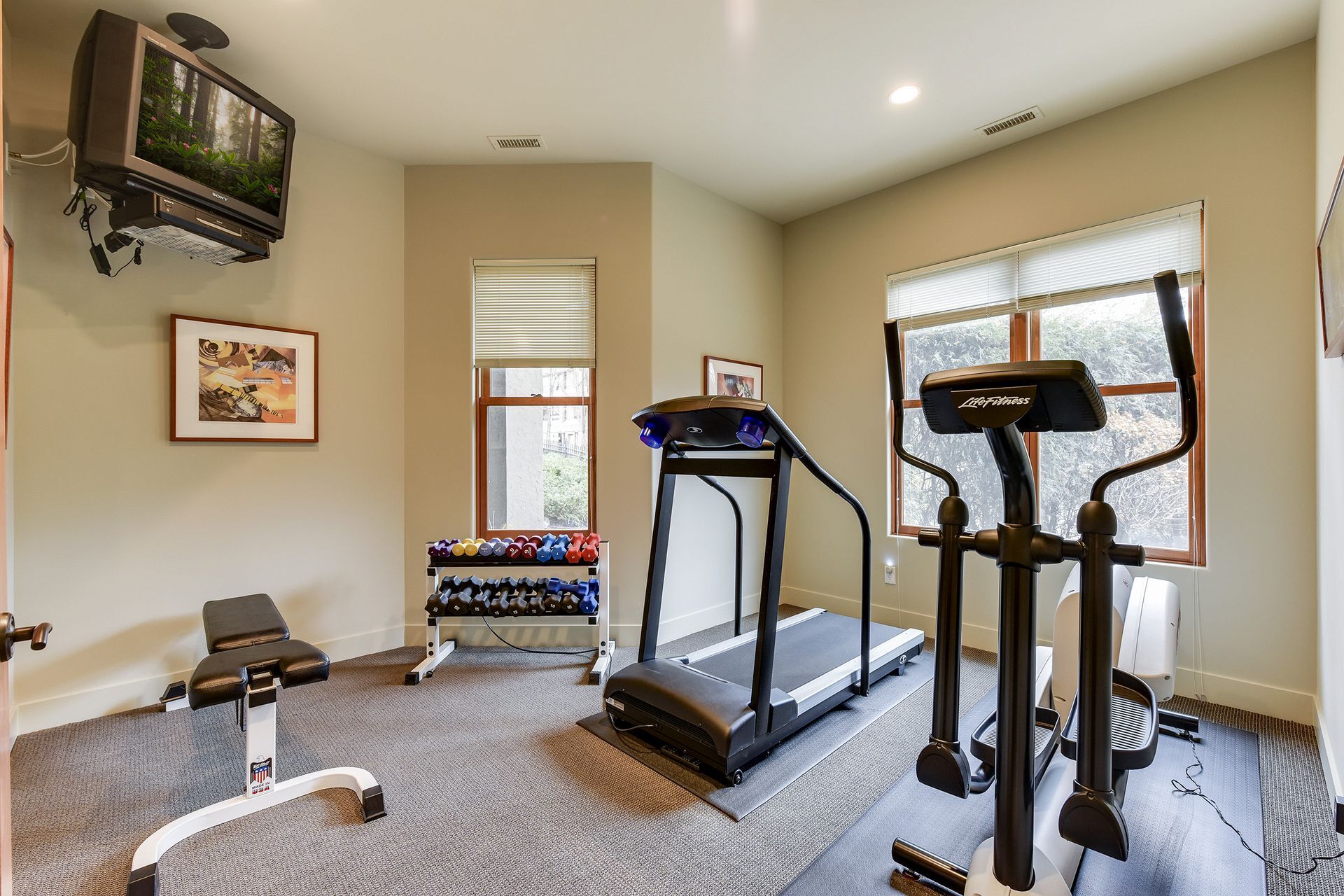Enjoy working out in the lower level in the exercise room - 745 Rice St E