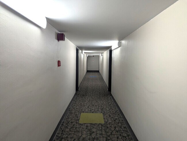 Building Photo - High Rise Living Directly Across the Street from Campus!