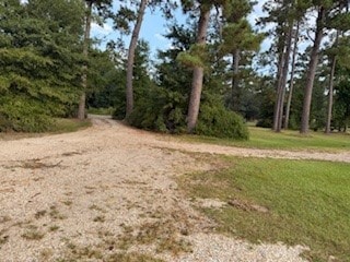 Building Photo - 45508 Sciara Ln