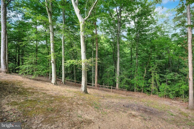 Building Photo - 37245 E Spicer Dr
