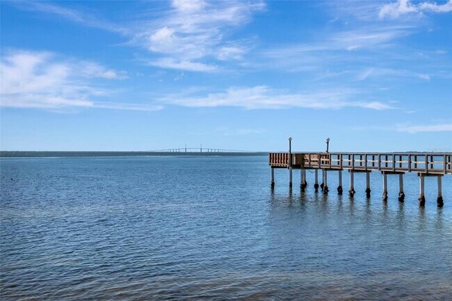 Building Photo - 650 Pinellas Point Dr S