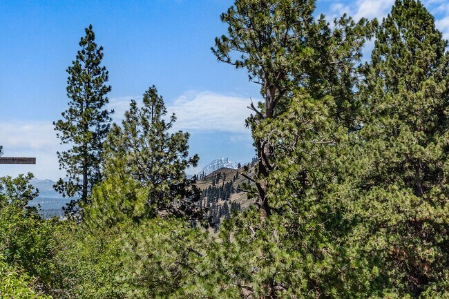 Building Photo - 250 Morrison Canyon Ln