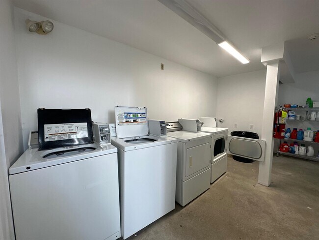 Building Photo - 41 Ivaloo St