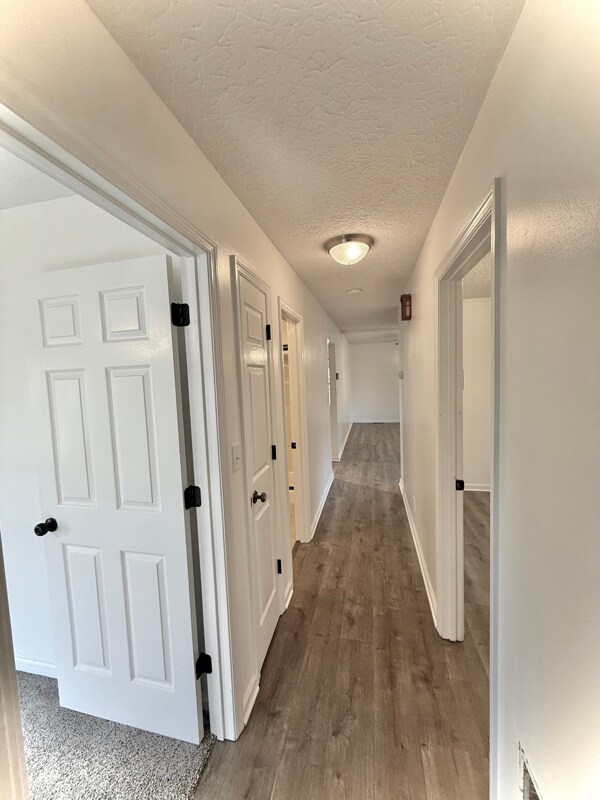 Building Photo - 597 Bluebird Dr