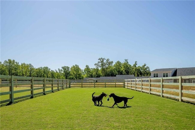 Building Photo - 101 Walker Ridge Ln