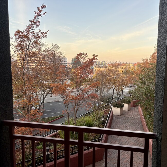 Building Photo - 1800 Alma Ave