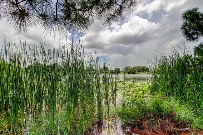 Building Photo - 12529 Mondragon Dr