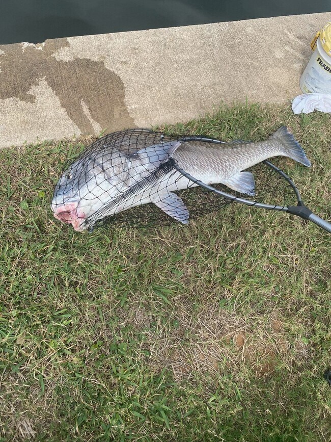 Building Photo - 3100 75th St