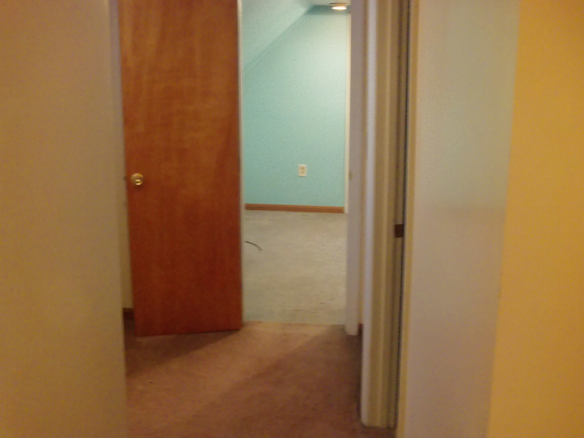 Building Photo - 61 Irene St