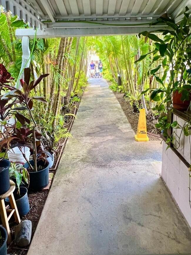 Building Photo - Charming & Breezy 1-Bedroom 1-Bath Hawaiiana Retreat