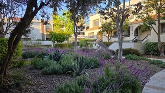 Building Photo - 21620 Burbank Blvd