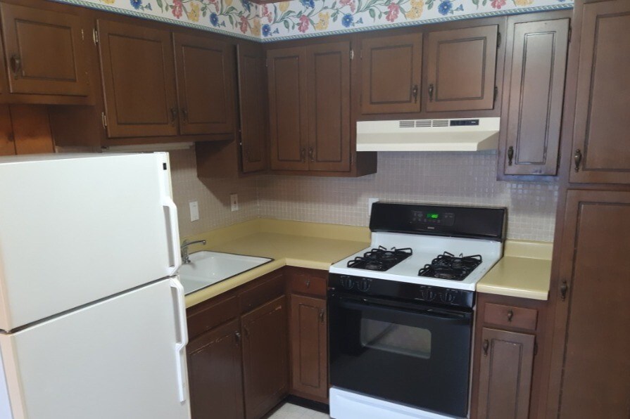 Kitchen - 27 Hamilton St