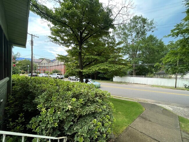 Front yard - 908 Oxmoor Rd