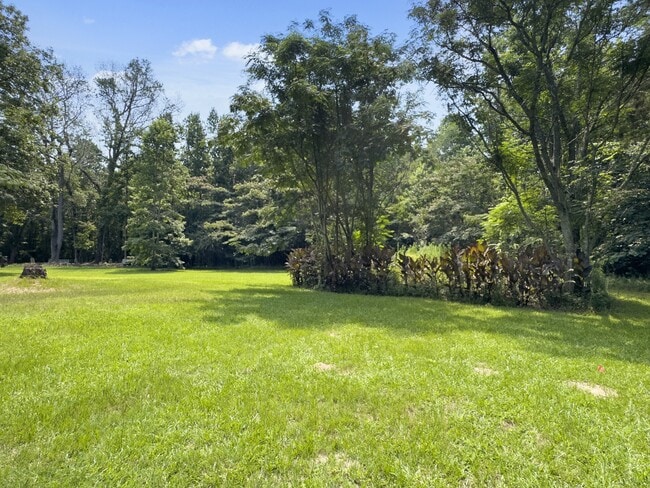 Building Photo - 1137 Carter Rd