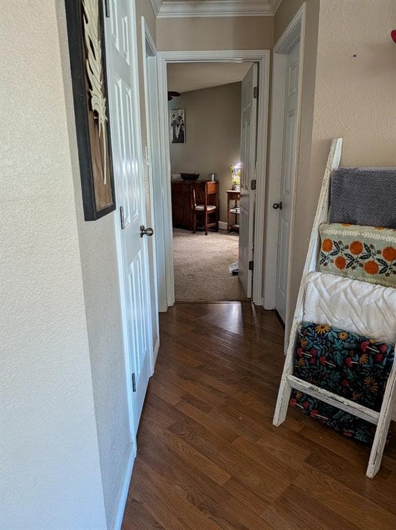 Building Photo - 1800 Twisted Oak Dr