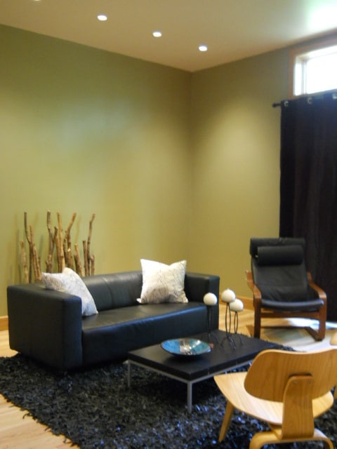 living room - 5047 Hazel Ave