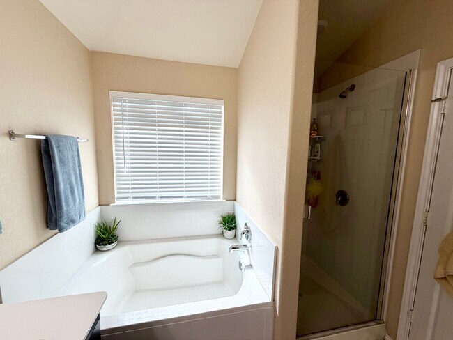 Building Photo - Beautiful 4 Bedroom Home in Park Meadows –...