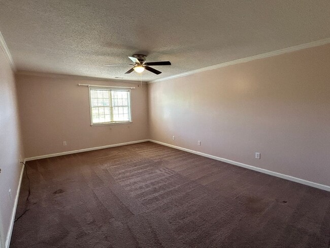 Building Photo - 273 Ivy Pl