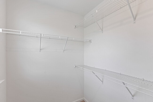 Building Photo - 1436 White Dutch Ln