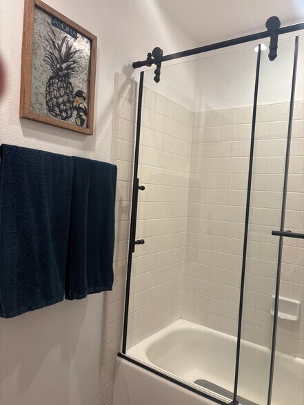 Shower/Tub Combo - 2175 Calle Ola Verde