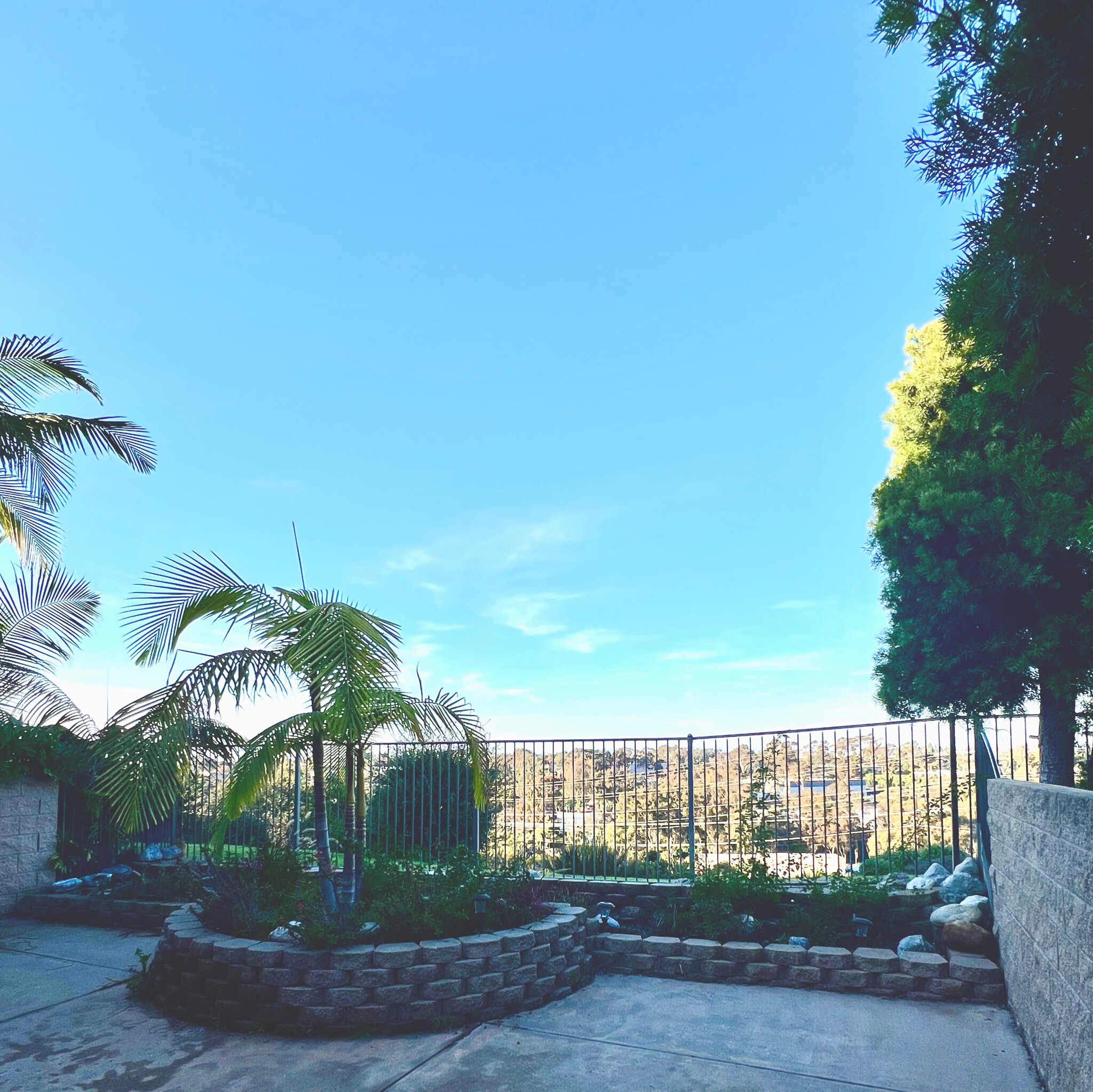 backyard - 1736 Bluebird Ln