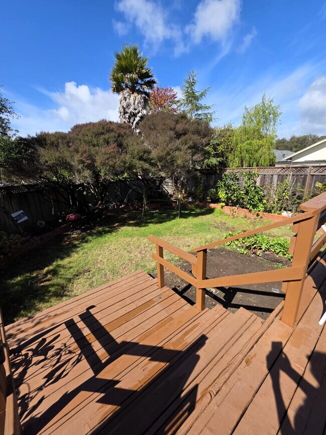 Building Photo - SUPER Spacious Westside Santa Cruz Home wi...