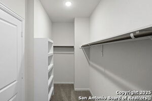 Building Photo - 2625 Lupton Leap