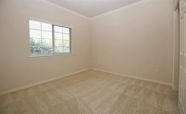 Building Photo - 13315 Olive Trce