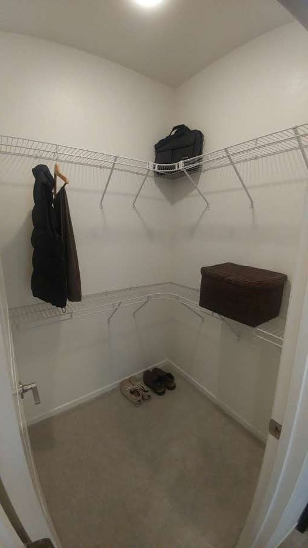 Building Photo - Your New Sanctuary Awaits!