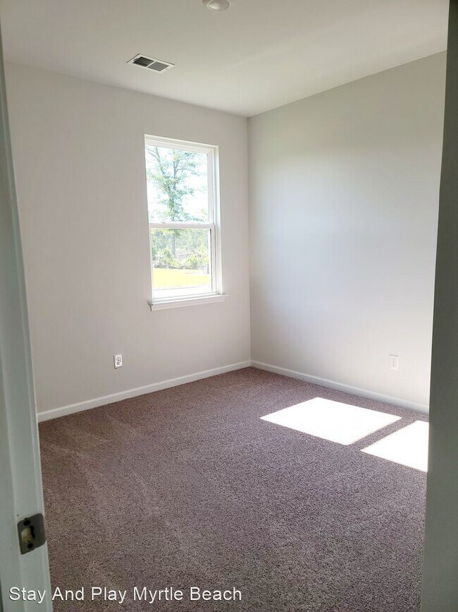 Building Photo - 4 br, 2 bath House - 1028 Red Tide Street