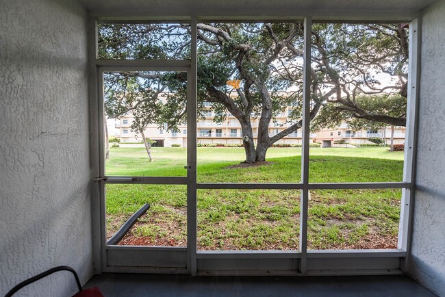 Building Photo - Cape Canaveral Condo