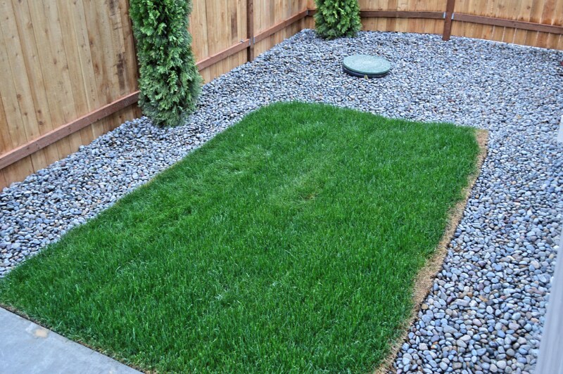 Building Photo - 6911 Lennon Ln NE