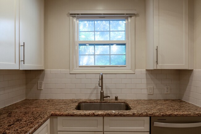 Kitchen Sink & Dishwasher - 8746 Reading Ave