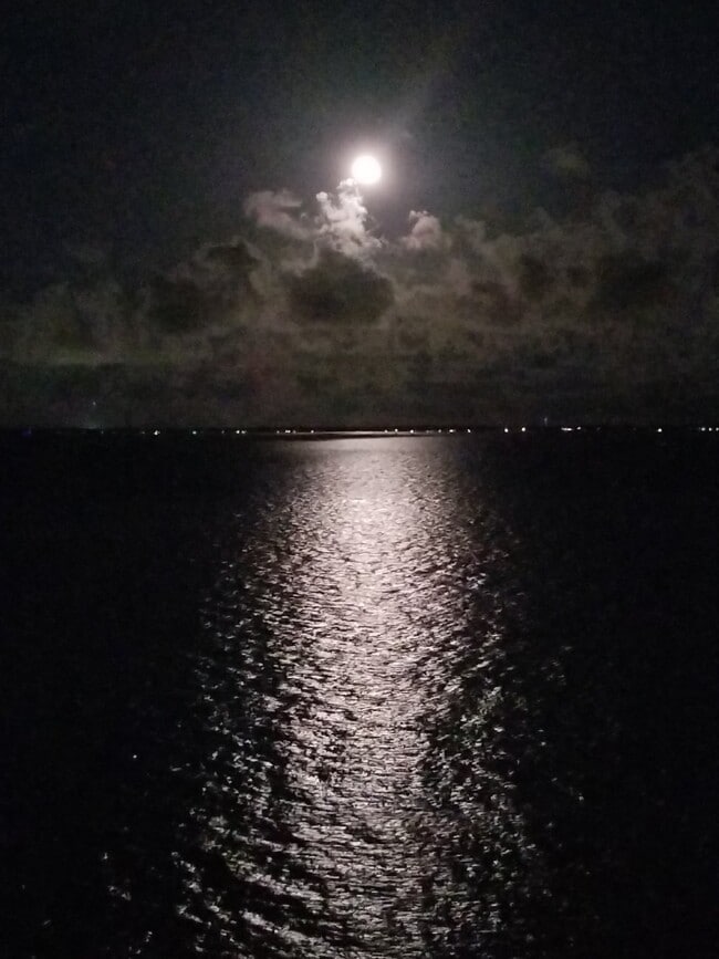 Building Photo - Stylish Condo in Waterfront Bayview Terrace – Updated Interiors, In-Unit Washer/Dryer, Access to ...