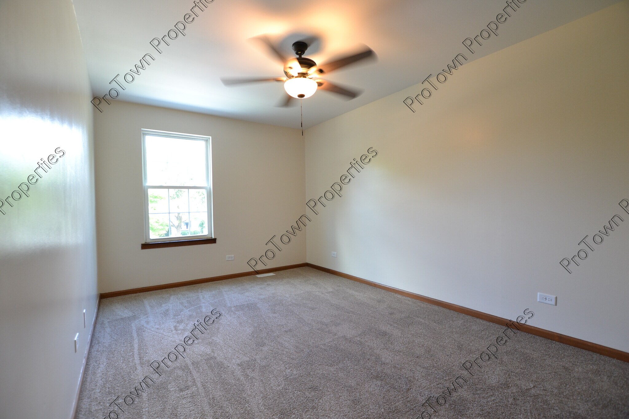 Building Photo - 4616 Peacock Ln