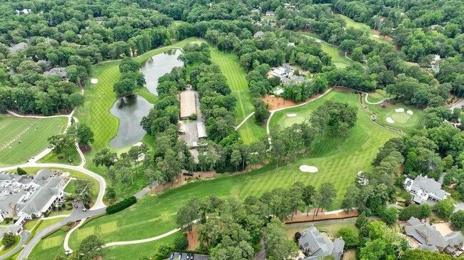 Building Photo - 459 Atlanta Country Club Dr