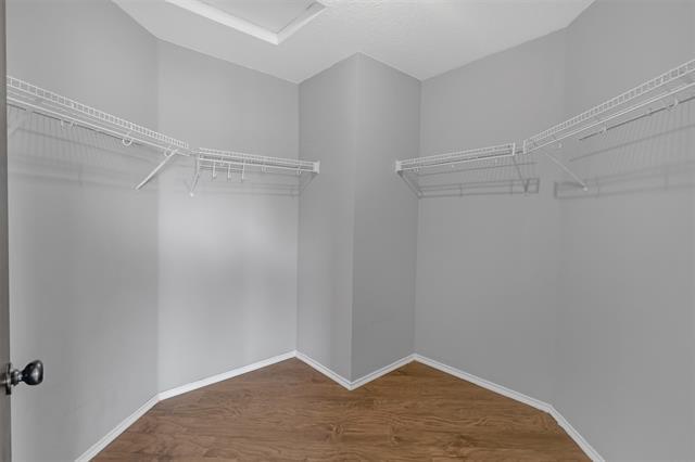 Building Photo - 8109 Zephyr Ct