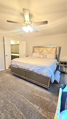 Building Photo - 2860 Appaloosa Ln