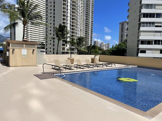 Building Photo - Waikiki, Pet Friendly. Central AC