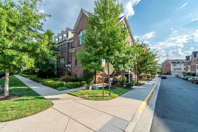 Building Photo - Gorgeous And Upgraded 2 Bedroom 3.5 Bathroom End Unit Townhome In Popular Shirlington Crest