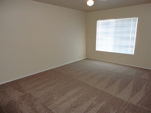 Building Photo - 207 Luninborg St