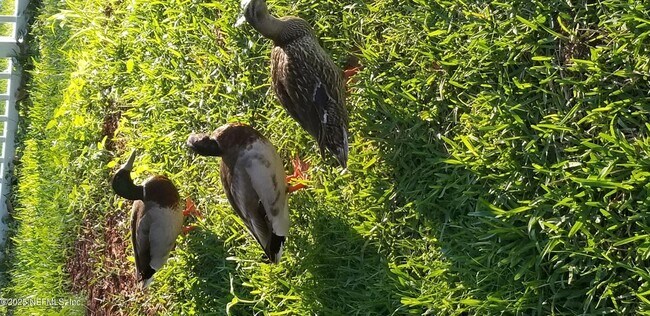 Building Photo - 237 N Hidden Tree Dr