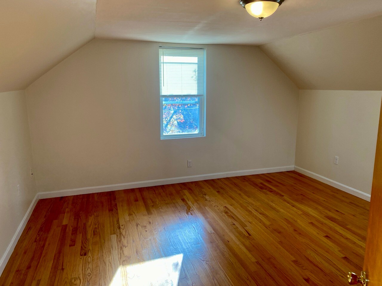 Building Photo - 123 Thorndike St