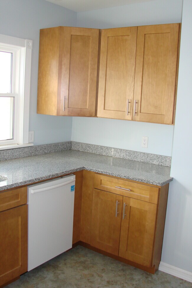 Additional view of cabinets, dishwasher and countertop - 713 Orchard St